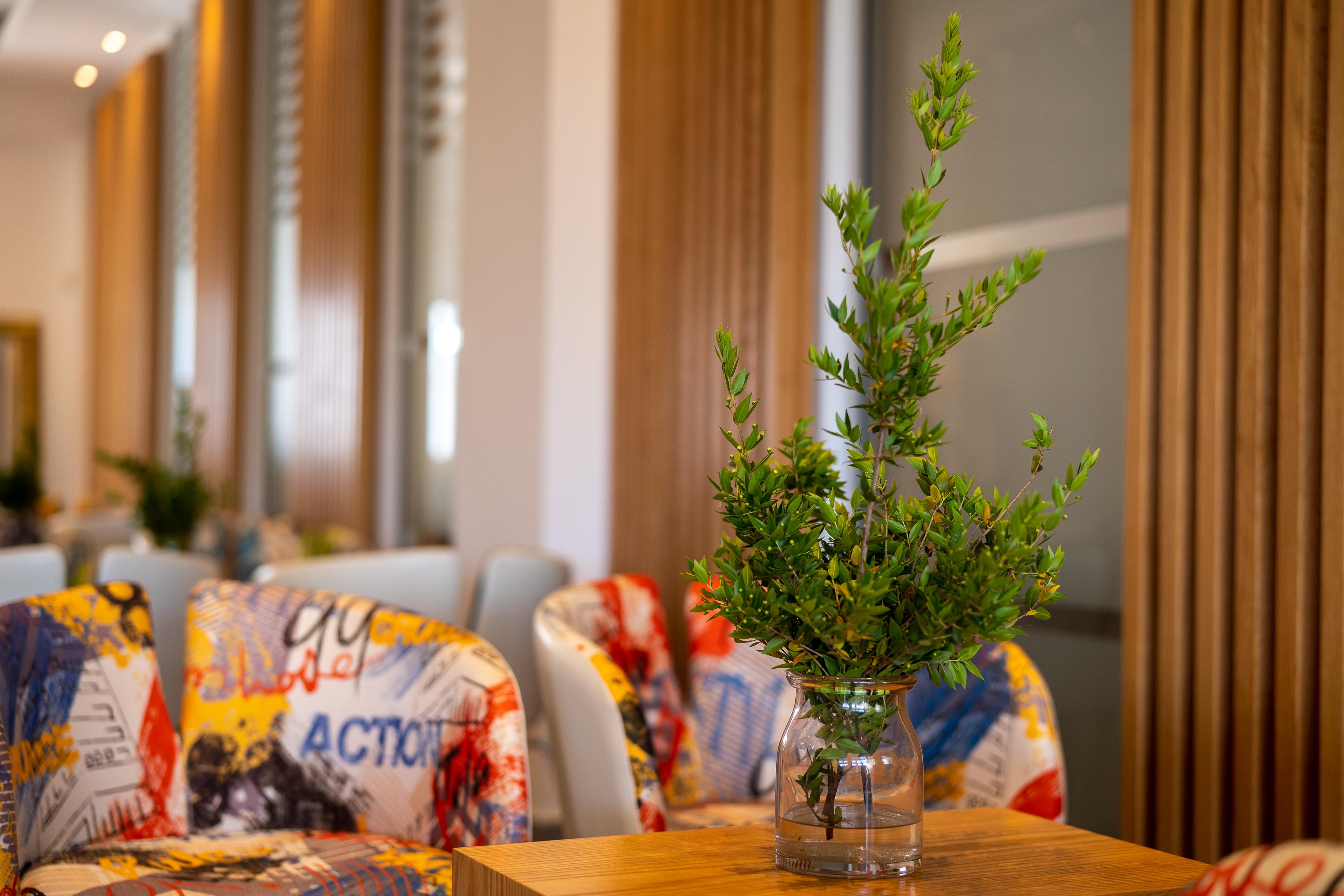 Vrachia Hotel&suites - Adults Only Aparthotel Kissonerga